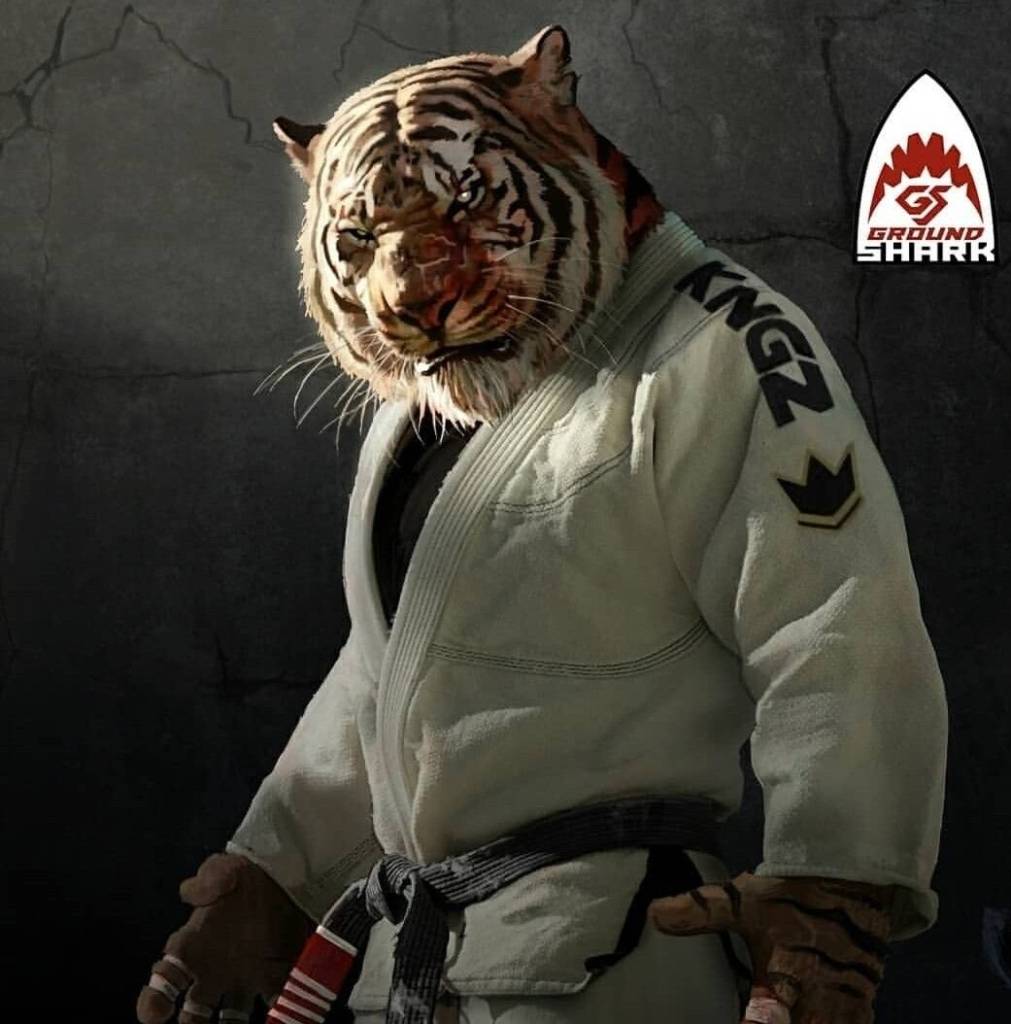 Кимоно Jitsu Tiger