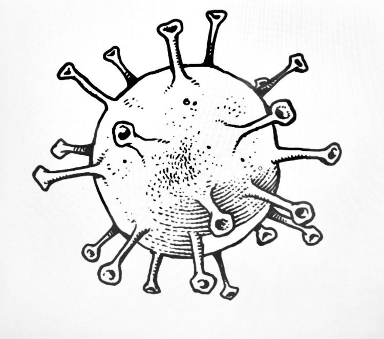 Коронавирус карандашом